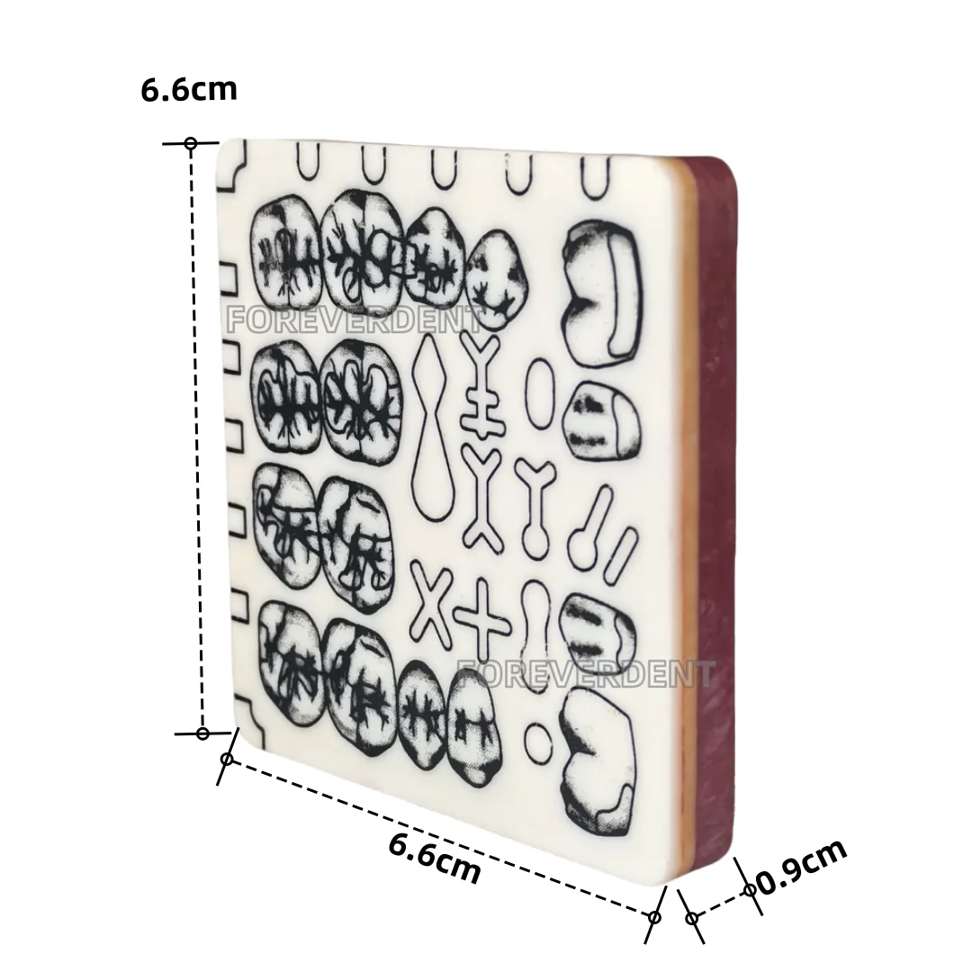 Dental Cavity Preparation Hole Dentin Practise Model Filling Template Train