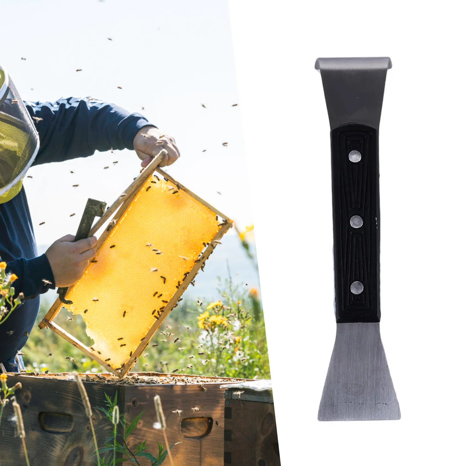 Cuchillo de limpieza de apicultura de acero inoxidable, raspador de media flexión, elevador de marco de abeja, herramientas de raspado de colmena de