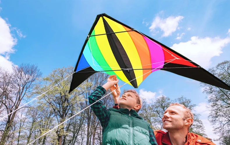 Cerf-volant de cascade professionnel arc-en-ciel à double ligne de 48 pouces, avec poignée et ligne, bon sortie d'usine volante, nouvel arrivage