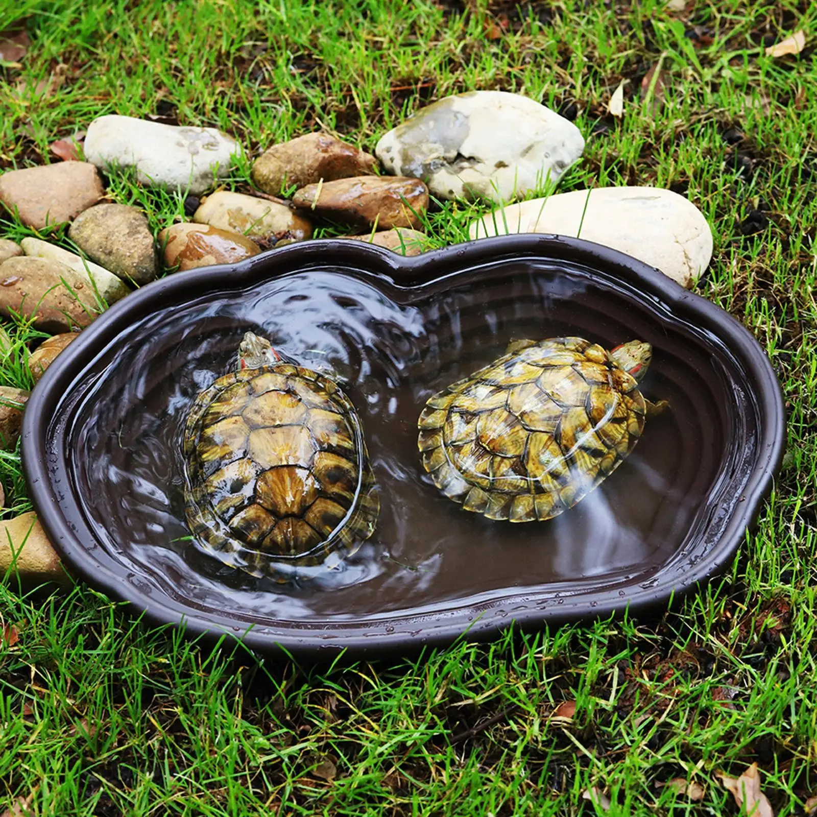 Reptile Bathing Dish Tortoise Feeder Amphibians Habitat Reptile Water Food Bowl Feeding Dish for Bearded Dragons Turtle view 5