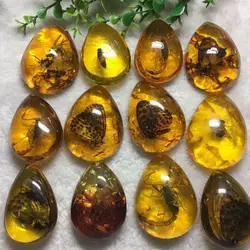 Cantharias drop shape scorpion butterfly bee insect amber pendant