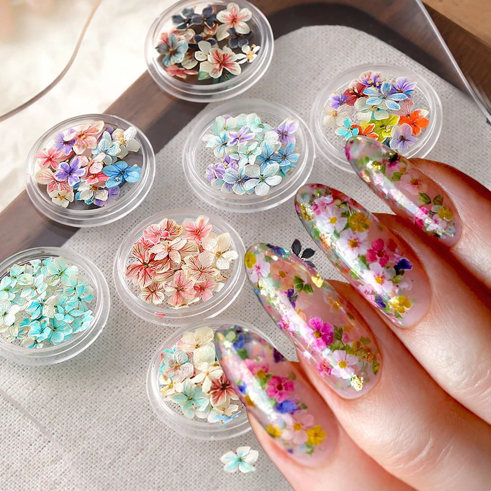 

1jar Colorful Mini Dried Flowers Nail Charms Japanese Style Blue Purple Red 3D Natural Flower Nail Decoration Floral Manicure Ar