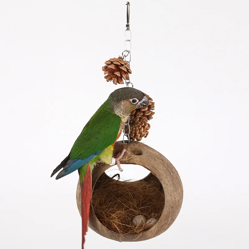 Kokosnuss-Vogelnest-Hütte mit Leiter zum Aufhängen, Hängendes Kokosnuss-Vogelhaus, Papageien-Versteck, Vogelkäfig für Wellensittiche, Tauben, Haustierzubehör