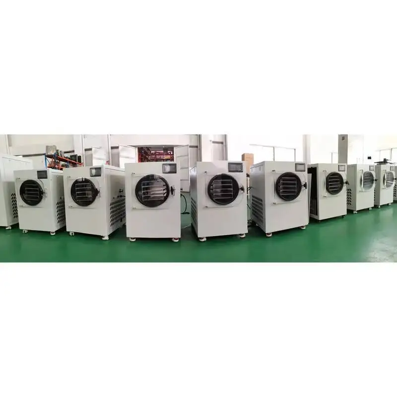 식품 동결건조 과일 진공 가정용 채소 - 동결건조기 및 건조 장비