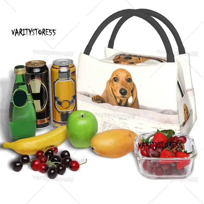 Cute Dachshund Dog Insulated Lunch Bags for Women Sausage Wiener Badger Dogs Portable Thermal Cooler Bento Box Work Travel