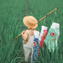 Hot 25/50/70/100 Japanese Carp Spray Windsock Streamer Fish Flag Koinobori Kite Cartoon Fish Windsock Carp Wind Sock Flag