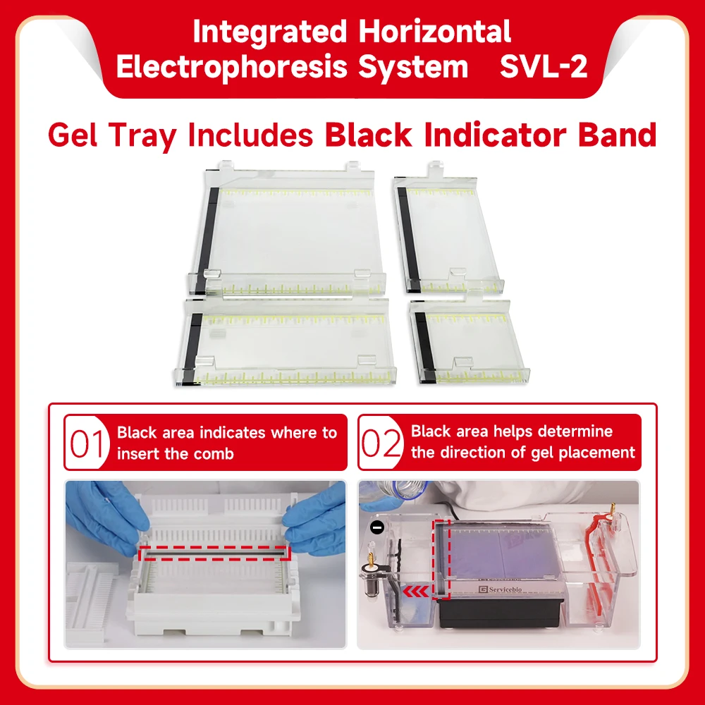 Electrophoresis Machine Electrophoresis Power Apparatus for Biology Lab Apparatus Gel Electrophoresis Bands Can Be Observed