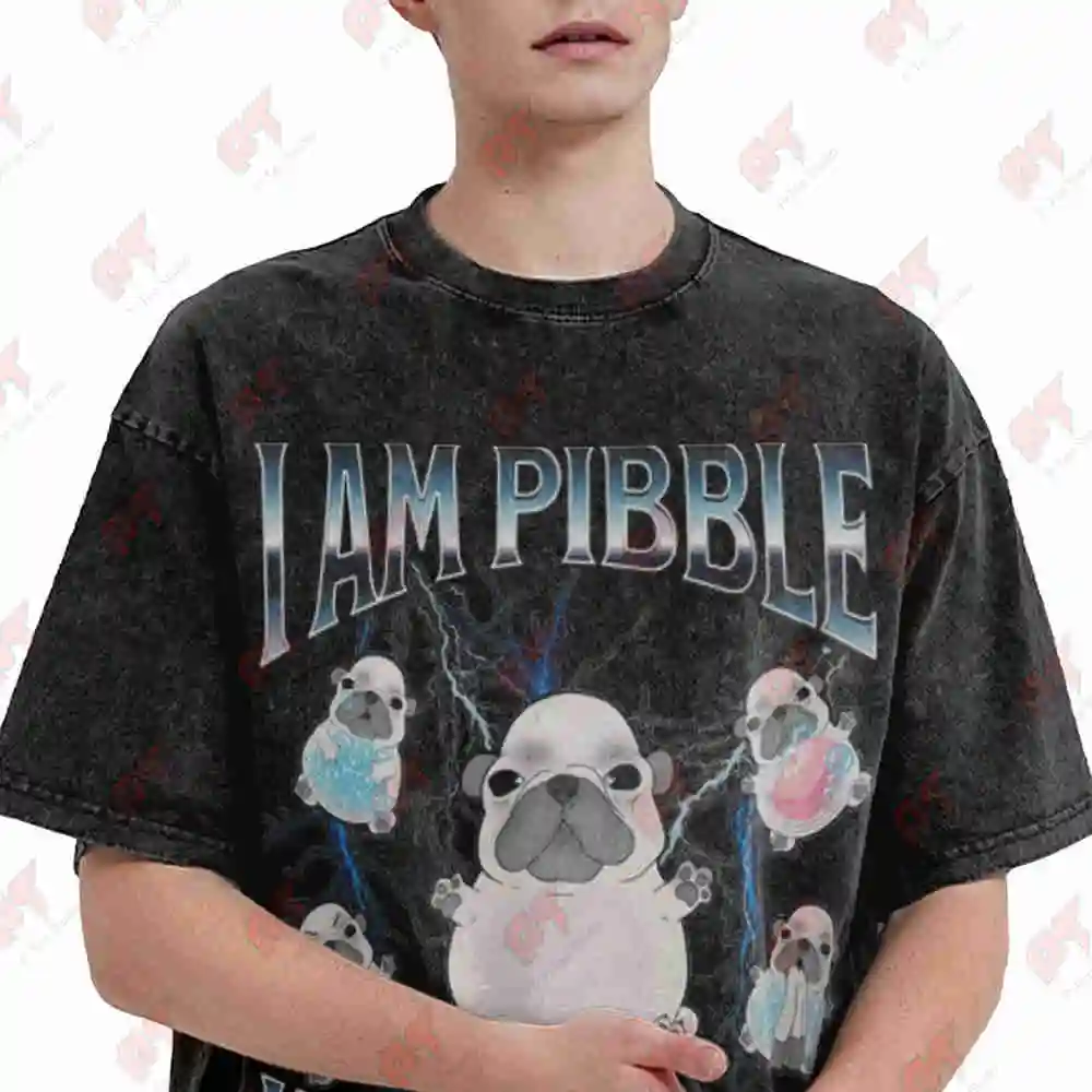 Pibble Dog Meme Baby French Bulldog Brainrot Gen Z Silly Cute Vintage Washed Tee Pure Cotton T-Shirt