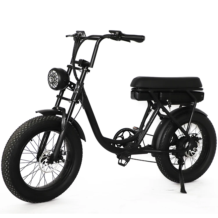

Electric Fat Bike With Aluminum Alloy Frame 7 Speed E-Bike Down Tube Lithium Battery Rear Hub Motor Disc Brake System
