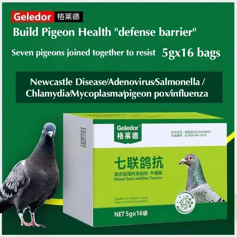 Seven Pigeons Against Salmonella Newcastle Disease Stubborn Water Green Then Throw Food Vomit Racing Pigeon Pigeon Special