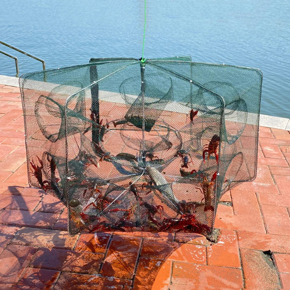 Folded Fishing Bait Trap, 6/8/ - огляд і ціна Aquarium Fish Trap