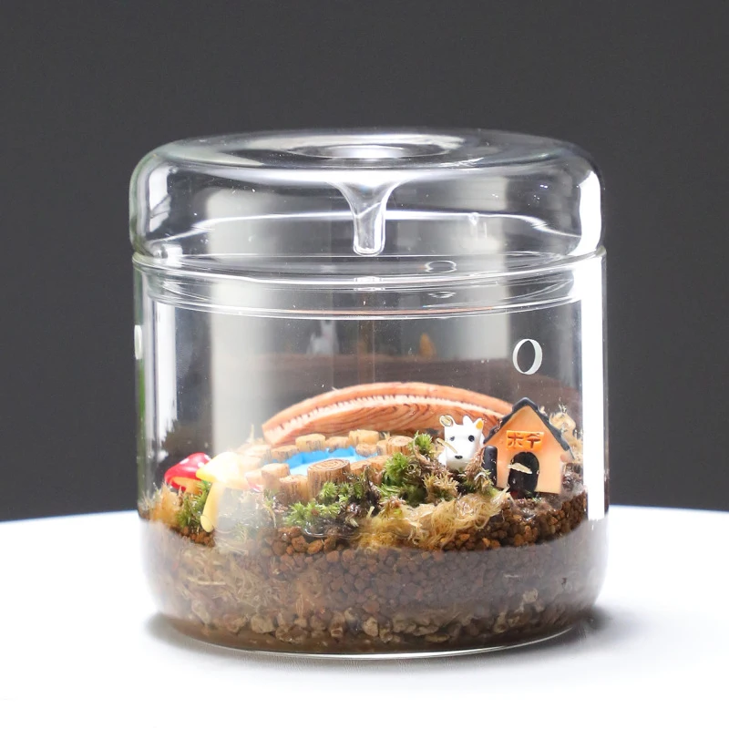 

1PC Micro Landscape Succulent Moss Landscape Glass Terrarium Home Decor Creativity Dew Collection Glass Vase Glass Bottles New
