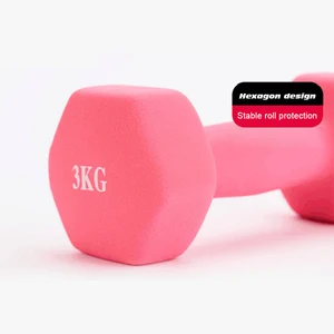 Hexagonal Dumbbell for Women Weight Loss Slimming Slim Waist Fitness Equipment Plastic Diving Dumbbell 10 Top Sales Gym Weights Kit - №2