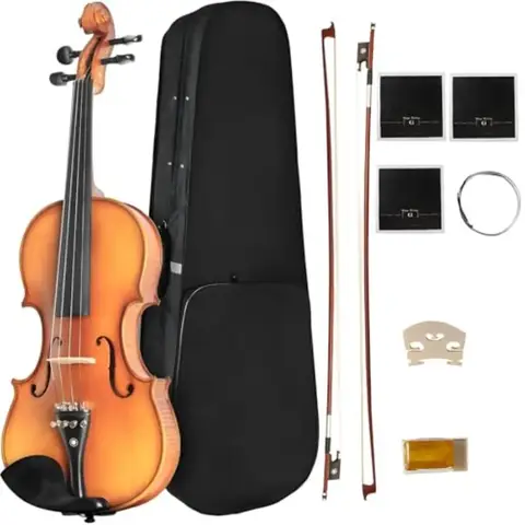 CVN-500 Solidwood Ebony Fitted 4/4 Full Size Violin for Beginners Enthusiasts Complete Starter Kit with Hard Case Bow Rosin Beg