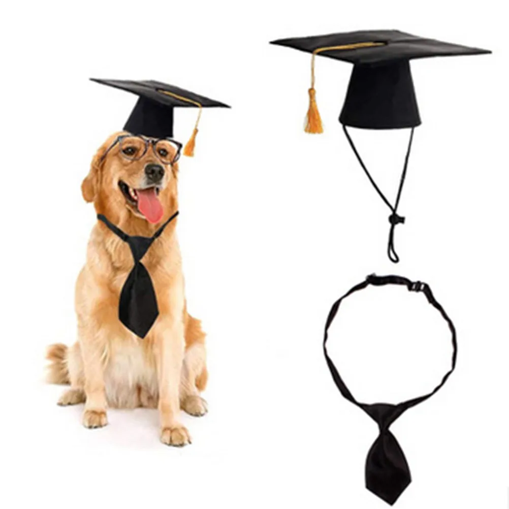 

2Pcs Black Pet Graduation Hat and Tie Set One Size Fits Small Medium Large Dogs Adorable Party Supplies Pet Collar Costume