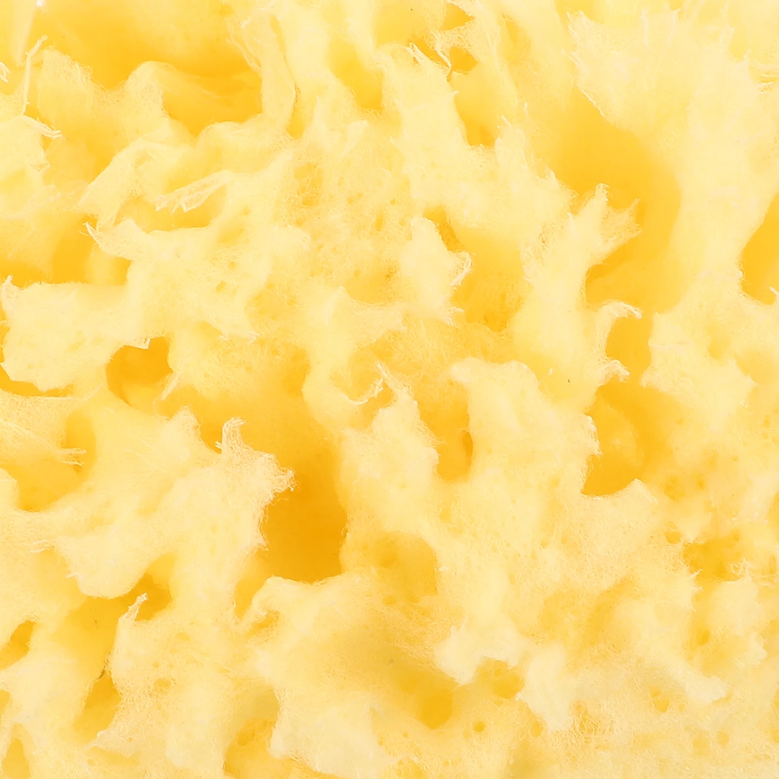 

Exfoliating Honeycomb Sponge Bath Ball Sea Sponges for Bathing Natural Exfoliator