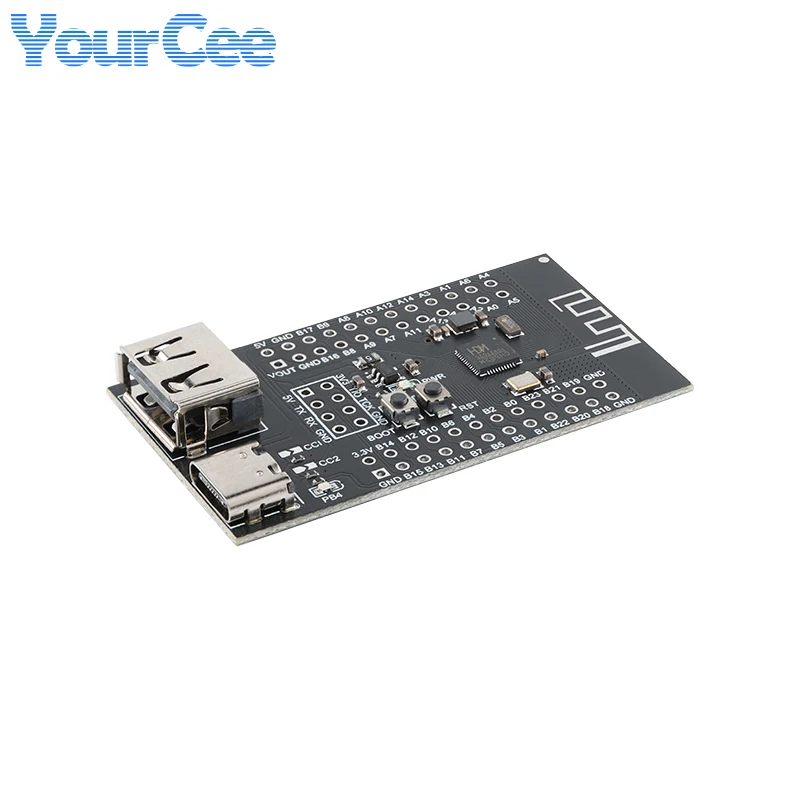 2 pz/1 pz CH582M Core Scheda di Sviluppo a bassa potenza BLE5.3 Wifi senza fili Bluetooth microcontrollore RISC-V modulo MCU doppio USB CH582M