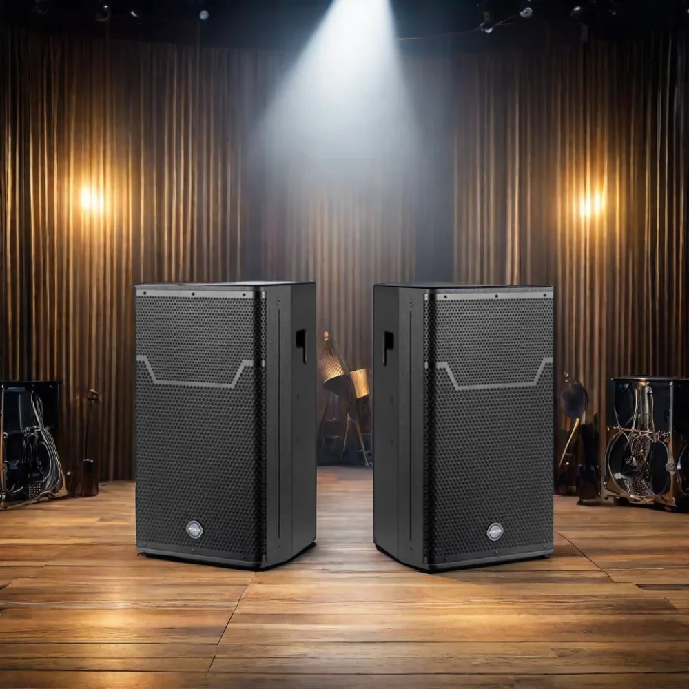 Indoor Outdoor Concerts Stage DJ 2 Way Passive 15 Inch Professional Speaker For Stage