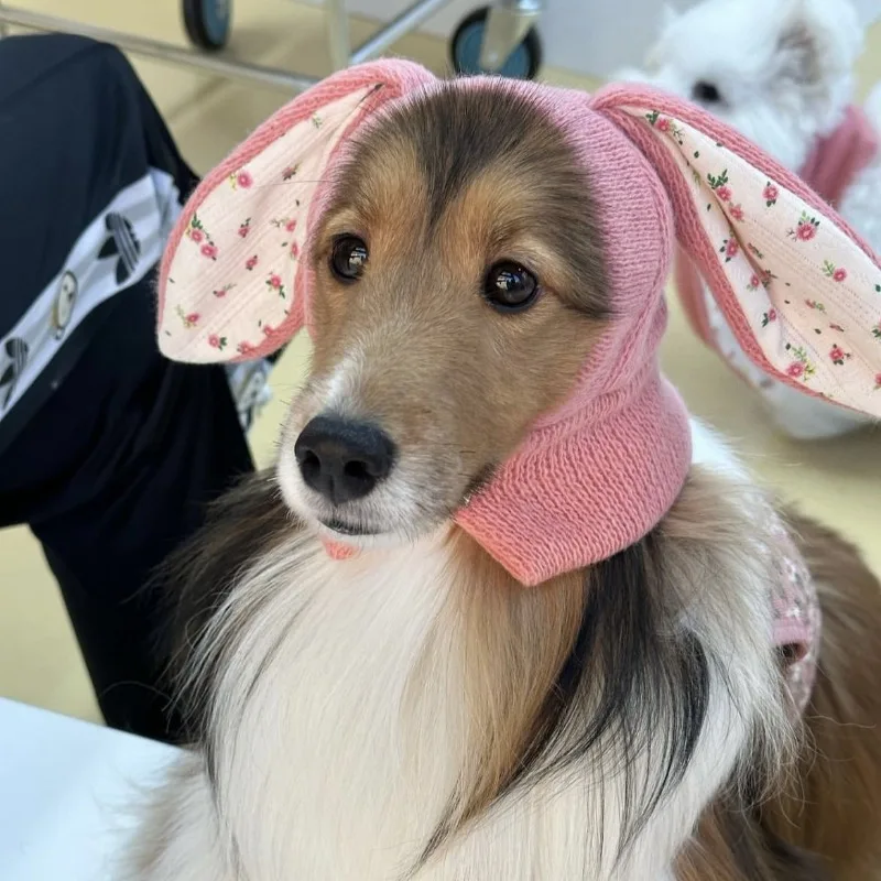 Dog Hat Autumn Winter Windproof Warmth Cover Cute Rabbit Ears Knitted Pet Cap Pink Ins Dogs Headwear New  Kitten Puppy Earmuffs