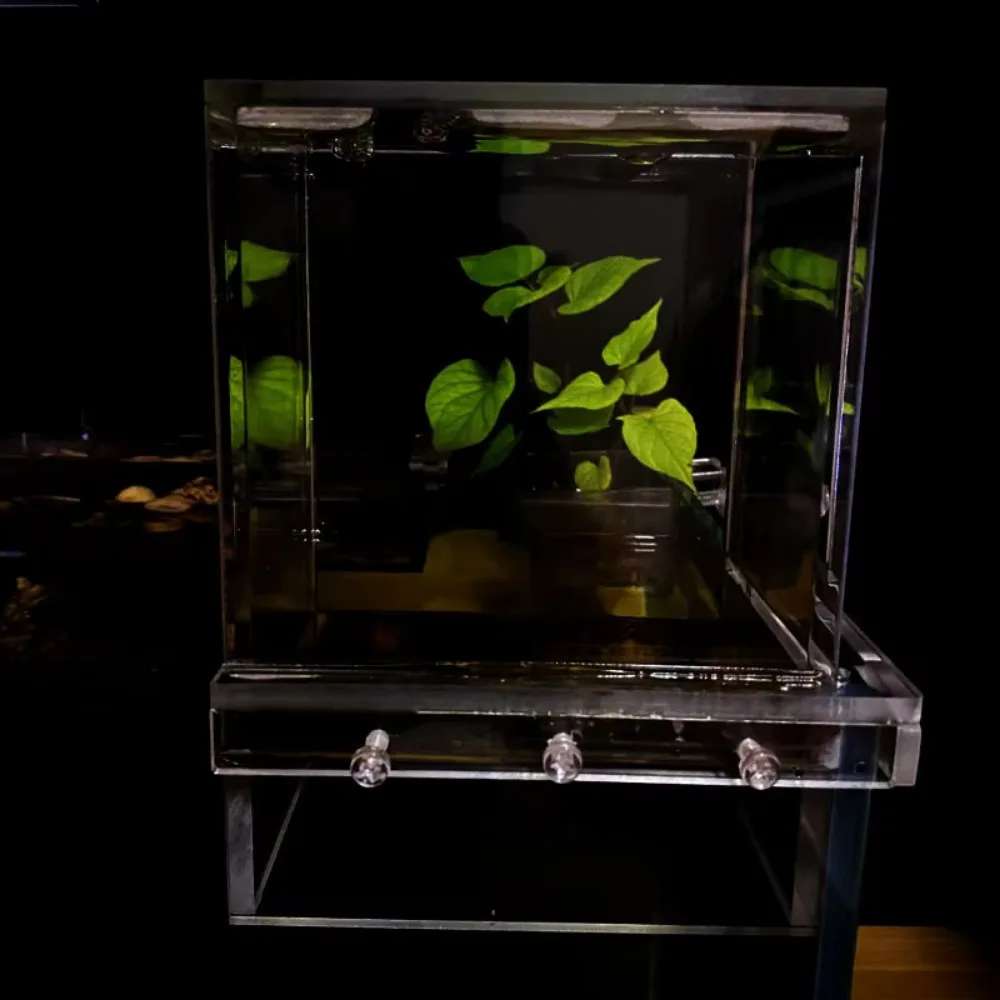 المناظر الطبيعية خزان الأسماك الضغط السلبي سهلة التركيب فريدة من نوعها الاكريليك علقت خزان الأسماك لافتة للنظر