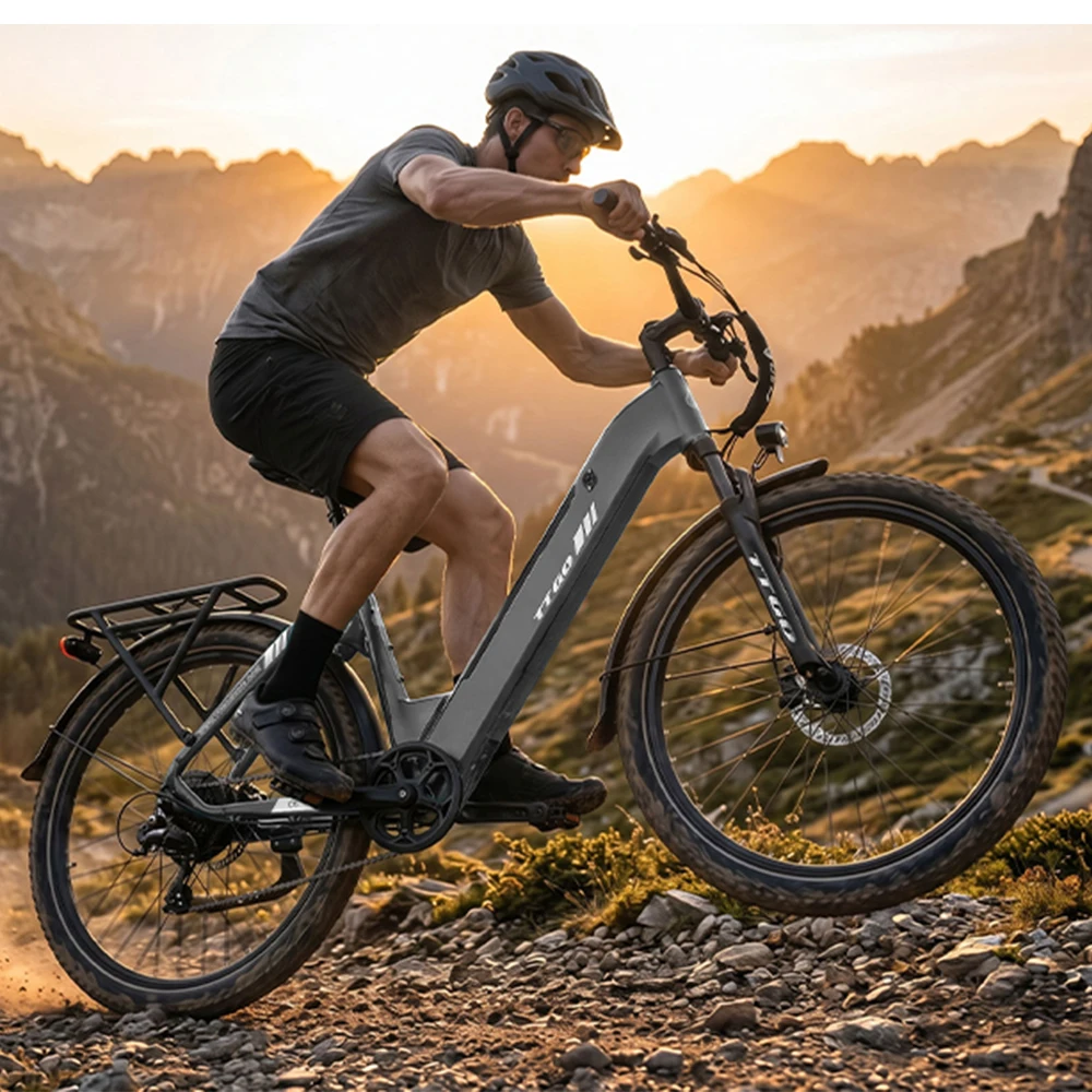 TTGO elektrische fiets 250W 48V13.5Ah 90-100KM bereik 27,5" elektrische mountainbike, 70Nm achtermotor hydraulische remmen verende zadelpen LCD volwassen e-bike, C5 grijs