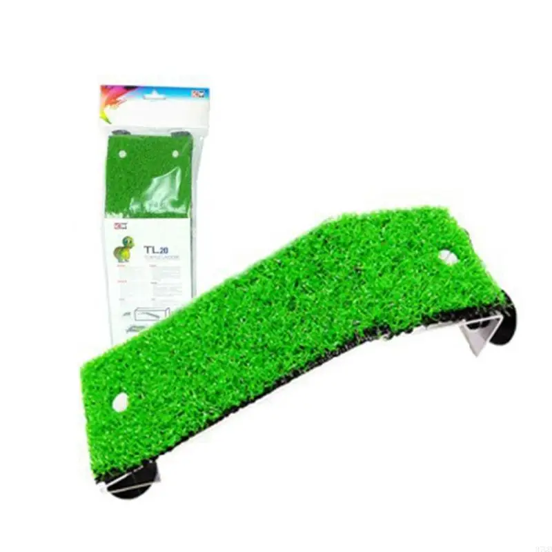 97QD cho rùa đá phiến đá gờ cho bể cá & hồ cạn canxi nền tảng bổ sung canxi