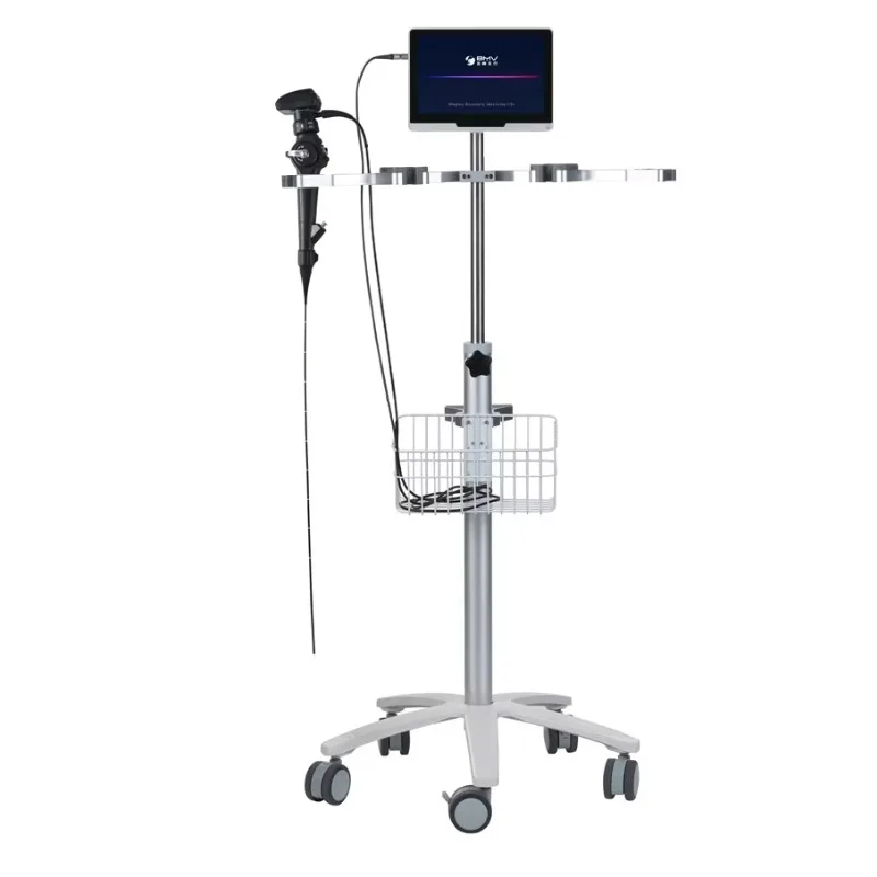 

BMV BVI-11 Veterinary Oesophagus Bronchoscopy Gastroscopy for Cat Portable Veterinary Endoscope for Small Animals and Equine