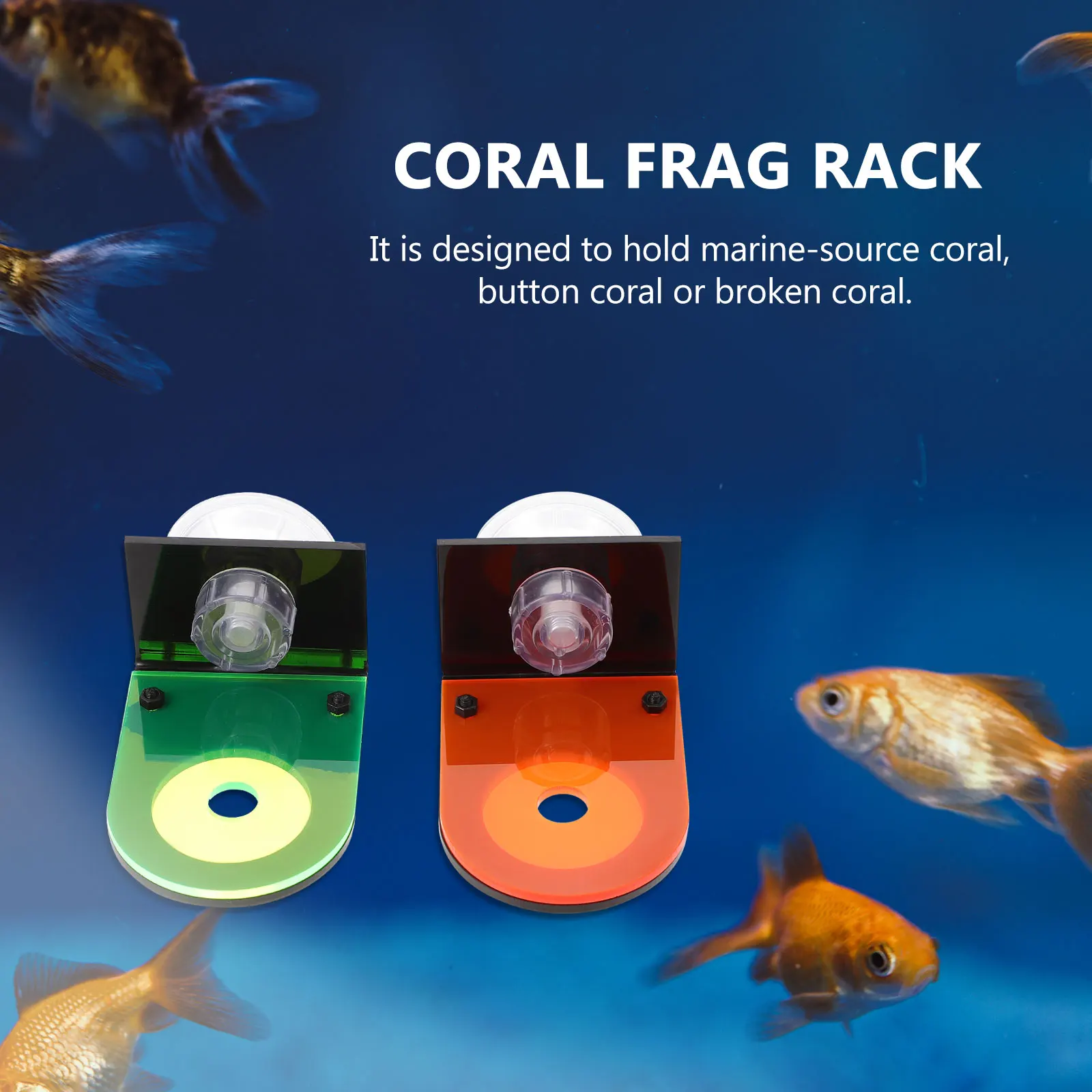 

2 pcs Acrylic Coral Holder Fluorescent Fish Tank Accessory Aquarium Rack Easy Install Suction Cup Fragments Support