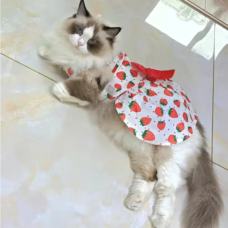 Fashion Cat Puppy Dresses with Bow for Small Dogs Cats Sphynx Chihuahua Fruit Flower Print Pet Clothes ropa para gatos sukienki