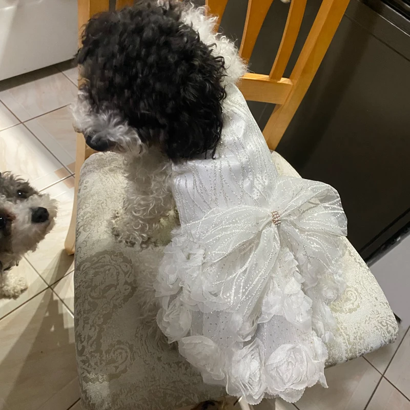 Dog Dress for Small Dogs Prom Party Princess Wedding Dresses Luxury Design Girl Dog Clothes Pomeranian Puppy Cat Costume Outfits