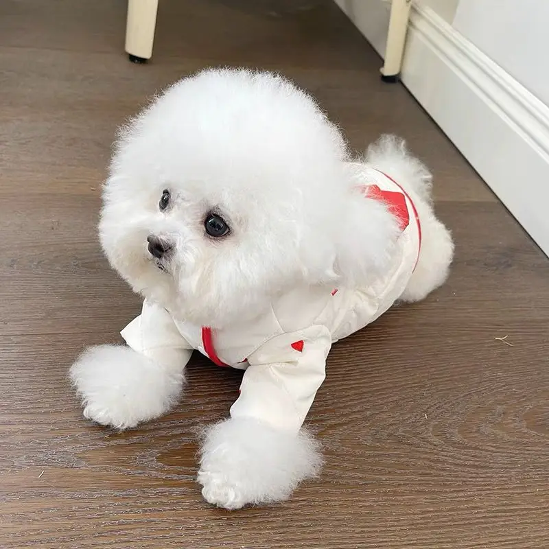 Pet Clothes Autumn Winter New Style Plush Cotton Clip Bow Pull Button Coat Teddy Bear Dog Cat Skirt Dog Clothes Puppy Clothes