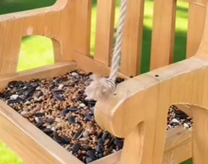 

Wooden Outdoor Bird Feeder, Gardening Bird Feeding Tool, Stylish Hanging Pet Chair, Suitable For Gardens And Balconies!