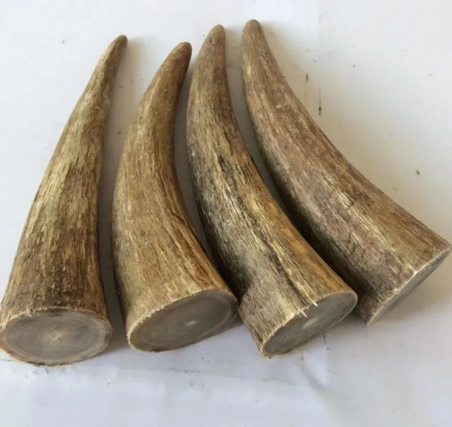 Large Solid White Flower Yak Skull Tip Knife Handle, Raw Material, Diameter4cm or more Length 18cm