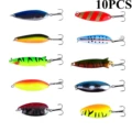 10PCS