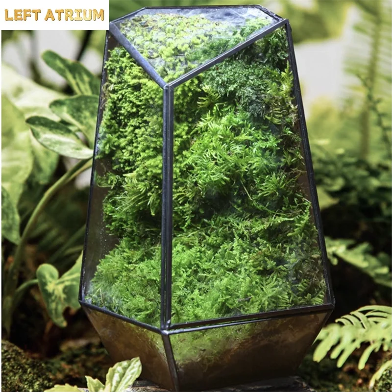 Quartz Shape Micro Landscape Glass Terrarium Moss Planter Tank Glass Flower Room Irregular Ecological Vase Geometric Terrarium