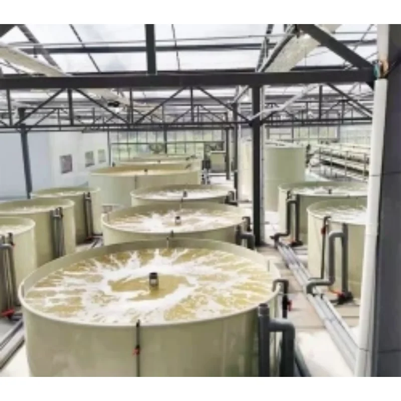 Ras System Tilapia Fish Egg Incubators Aquaculture Equipment Tanks for Indoor Fish Farming System Ras Tilapia