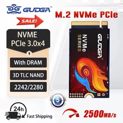 GUDGA ssd nvme m2 256GB M.2 2280 PCIe 3.0 TLC 내장 솔리드 스테이트 드라이브 M.2 NVMe 2242 노트북 2500 메가바이트/초 DIY 하드 드라이브 용 노트북 데스크탑 하드 디스크