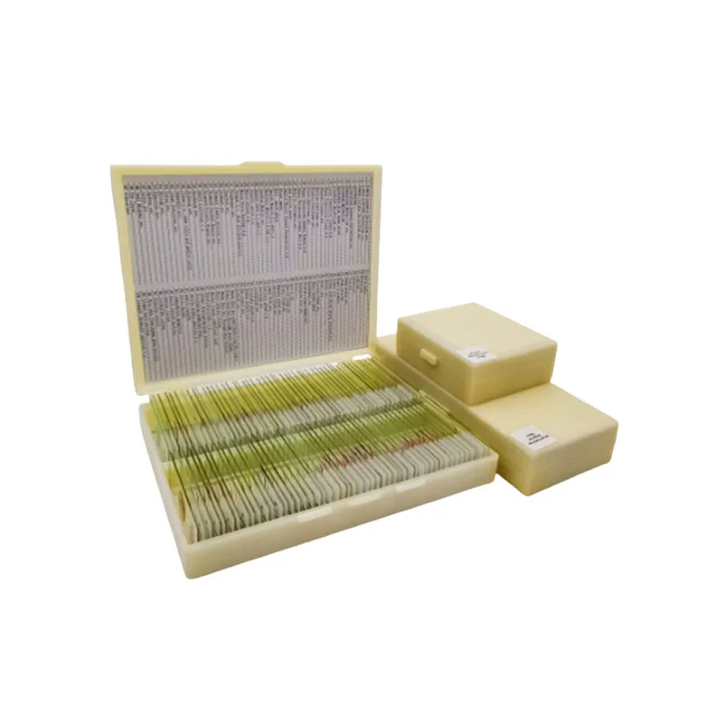 200 Pieces Plant Animal Insect and Histology Preparations Teaching Microscope Prepared Slides