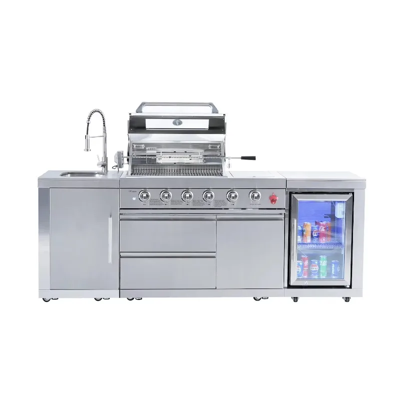 Outdoor BBQ Grill Natural Gas Propane Igniter Gas Grills Cooking Equipment Heavy Duty Stainless Steel Custom