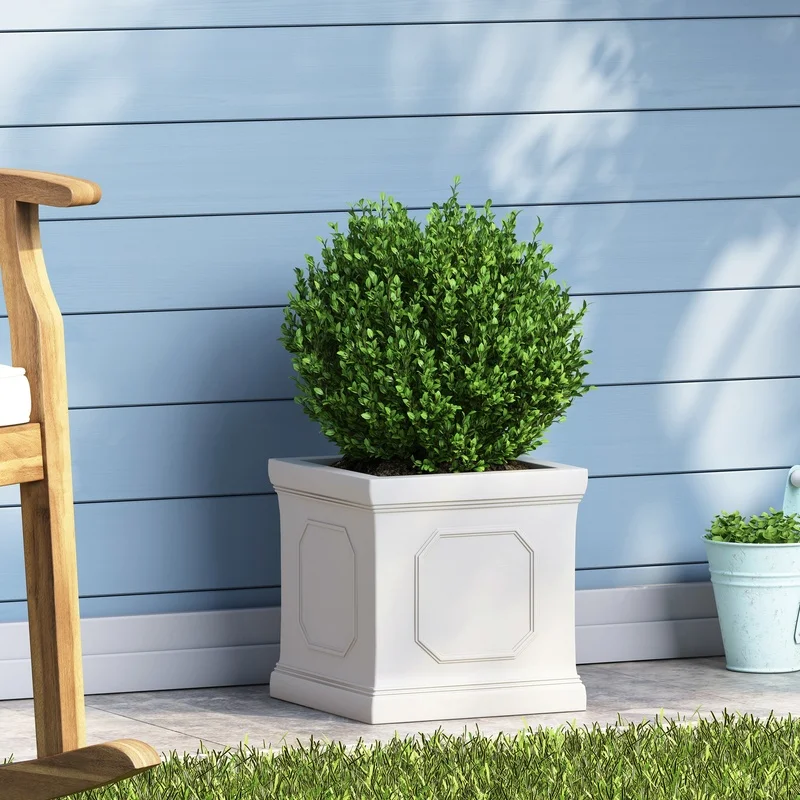 

MGO Planter Pot for Indoor Plants, Modern Ceramic Plant Container, Decorative Garden Vase, Compact Indoor Planter, Stylish Plant Holder, 6-Inch Indoor Plant Pot