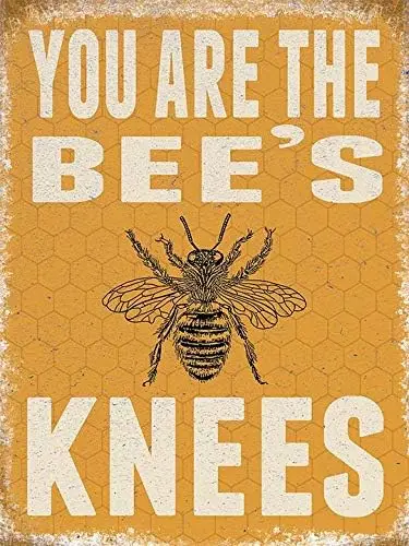 Wall Decor Tin Sign 8 x 12 Inches Vintage Signs Metal You are The Bee's Knees Novelty Plaques Poster for Indoor Home Pub