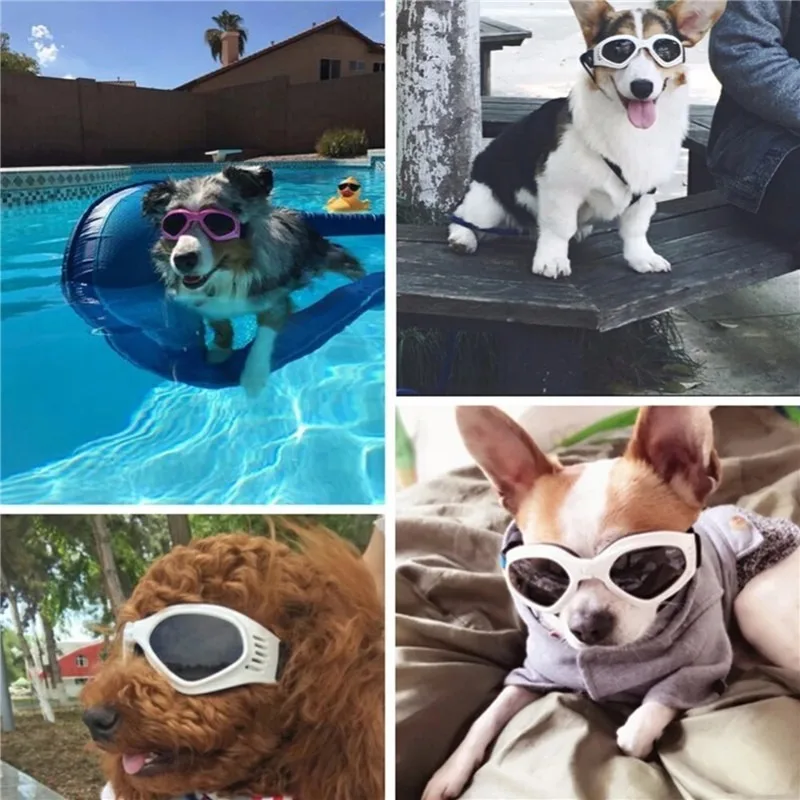 Gafas de sol plegables para perros ajustables anti-UV visión clara - imagen 3