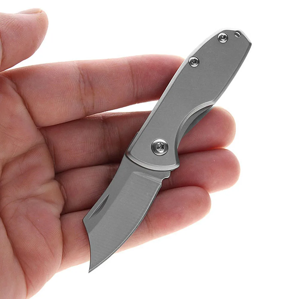 Mini Folding Camping Knife EDC Keychain Small Pocket Knife For Men Cheap Stainless Steel Sharp Tiny Cutting Knives Self Defense