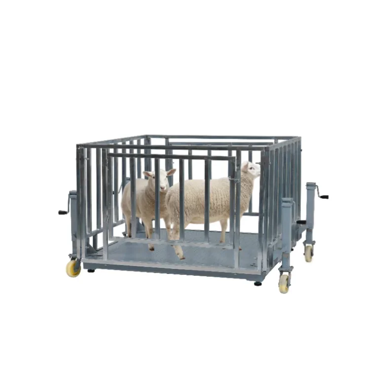 Inexpensive electronic scale with cage for animal sheep  pig livestock scales with wheels that can be moved are customized