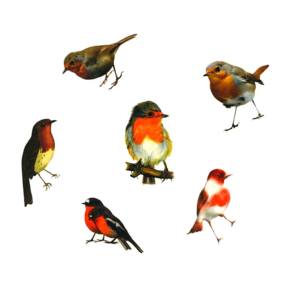 10/30/50PCS Realistic Color Robin Bird Cute Sticker For Toy Luggage Laptop IPad Cup Journal Phone Case Window Sticker Wholesale