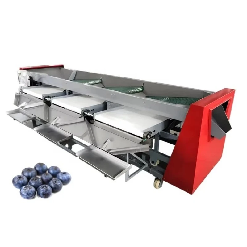 Industrial Blueberry Size Classifier Blueberries Fruit Sorting Machine for Blueberry Grader Size Classification