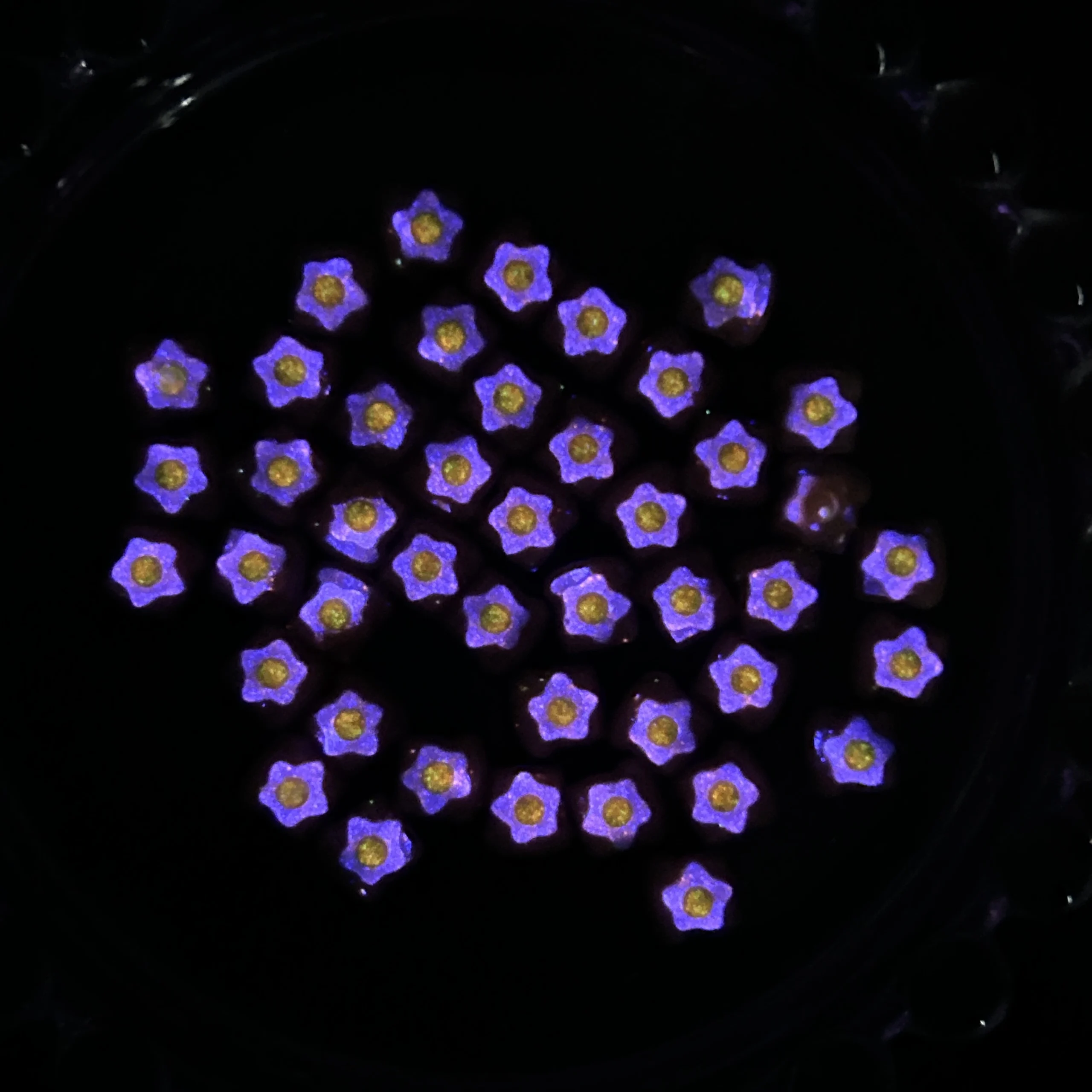 30個入り 3D 革新的で可愛いパン型レジンネイルチャーム、創造的な発光シミュレート目玉焼きトーストネイルアートデコレーション、DIYネイル用