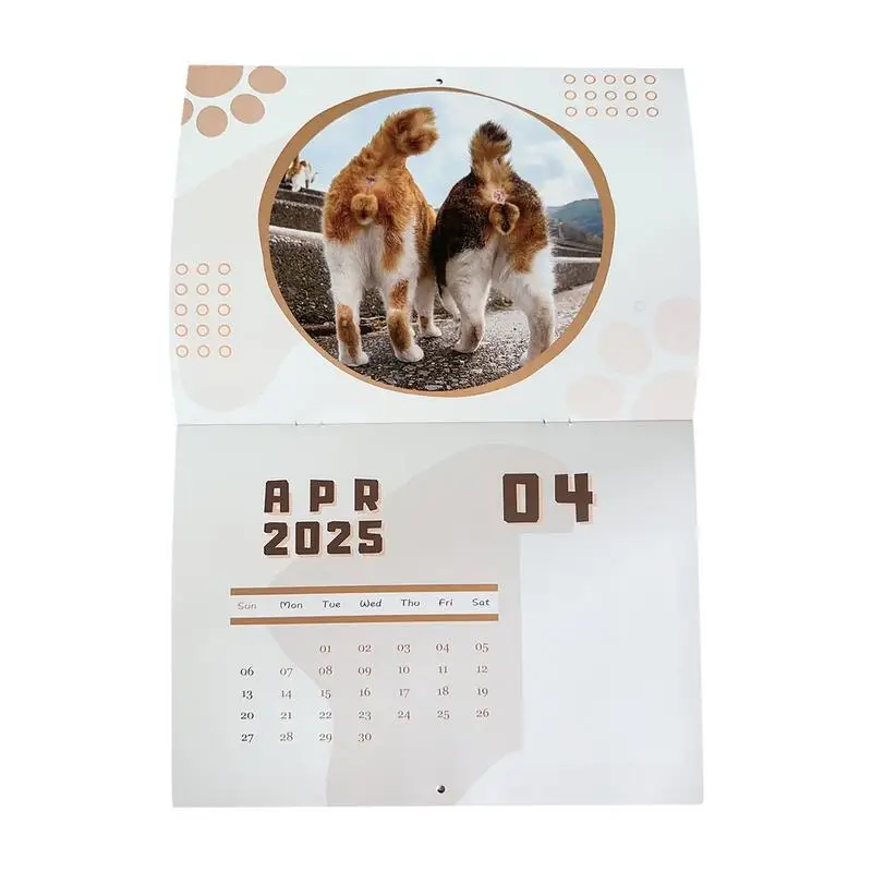 Cat Balls Calendar Monthly Pages 2025 Cat Pattern Calendar Cat Butthole Calendar 2025 For Keeping An Accurate Track Of Important