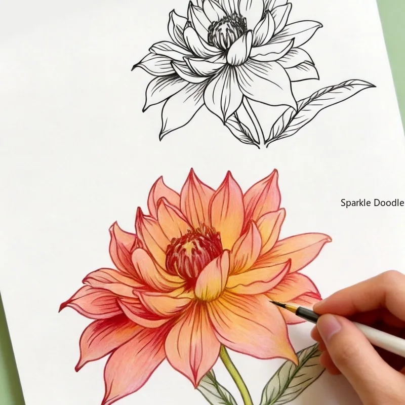 An Adult Decompression Flower Line Drawing Coloring Book, Step-by-step Practice Flower Copying Coloring Book, 24 Flower Patterns