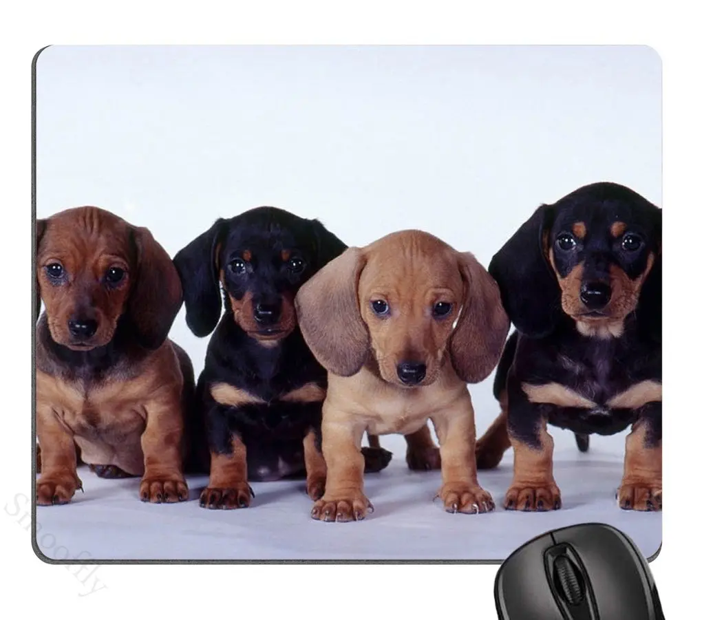 Hot-Selling Cute Dachshund Puppies Kawaii Lock Edge  Gaming Mousepad Mouse Mat Keyboard Mats Desk Pad 22x18cm ?